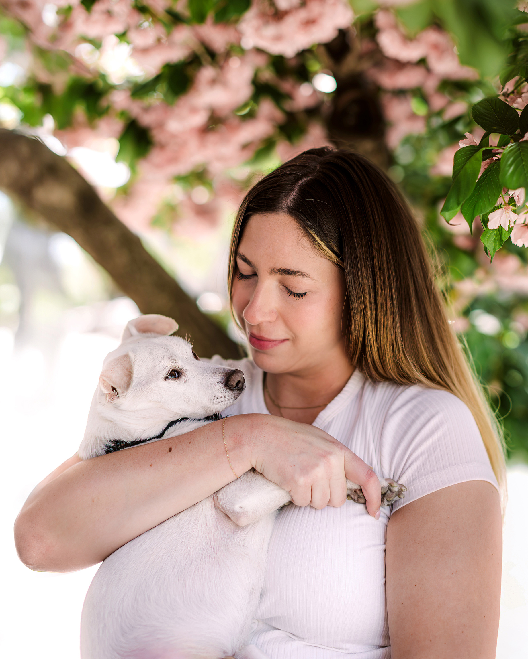 woman holding her white dog under a cherry tree