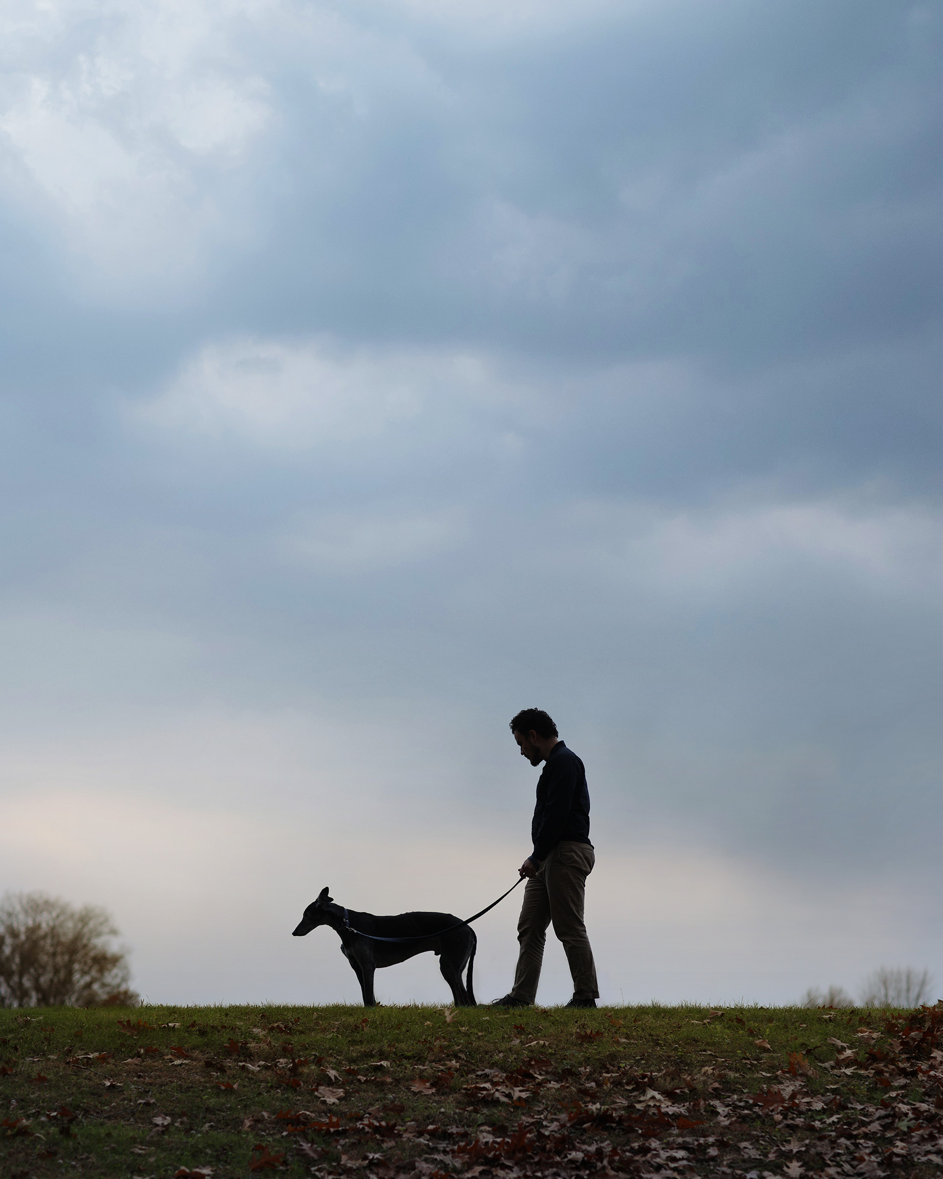 greyhound on a walk under a stormy sky