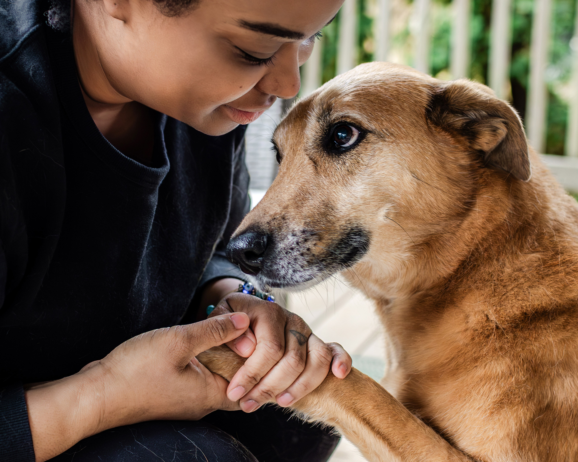 woman holding paw of her dog