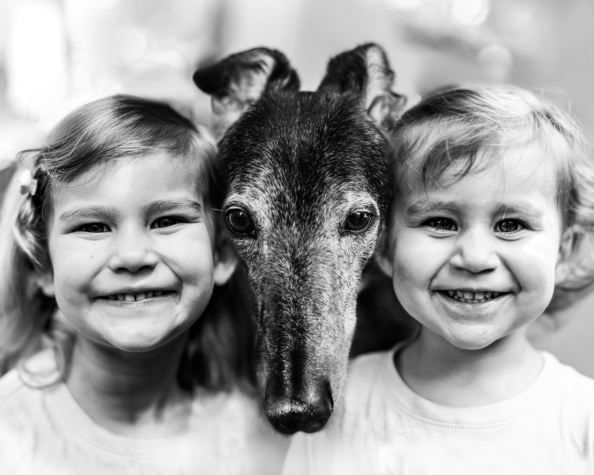 a greyhound's face in between two little girls' faces
