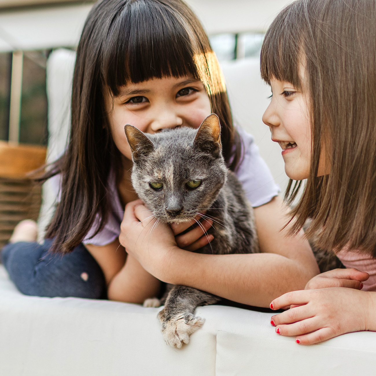 two girls cuddling a grey cat