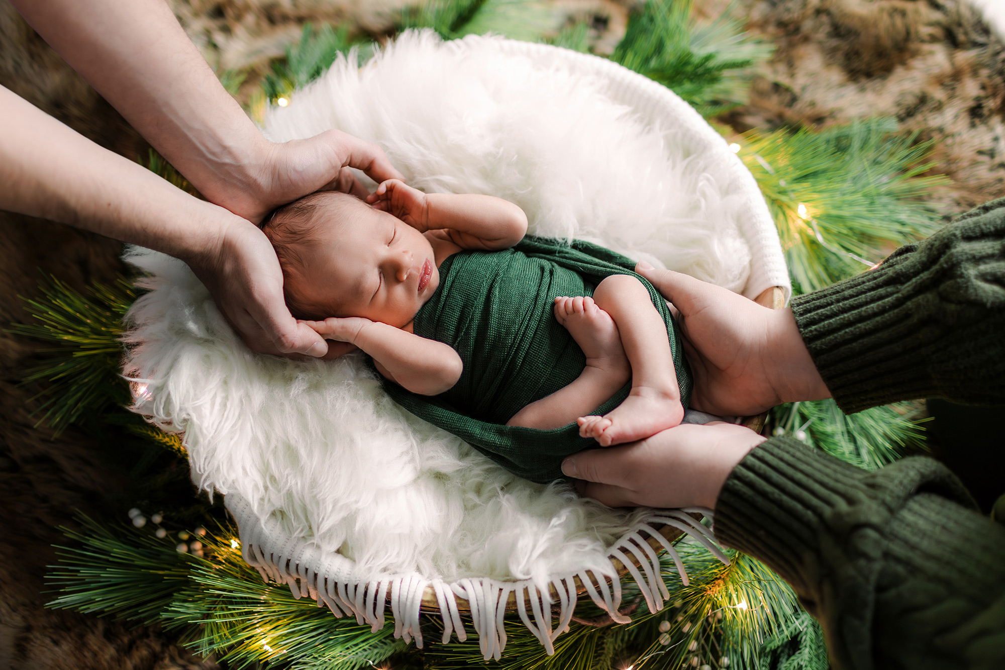 Newborn posed on fur in a basket surrounded by pine needles