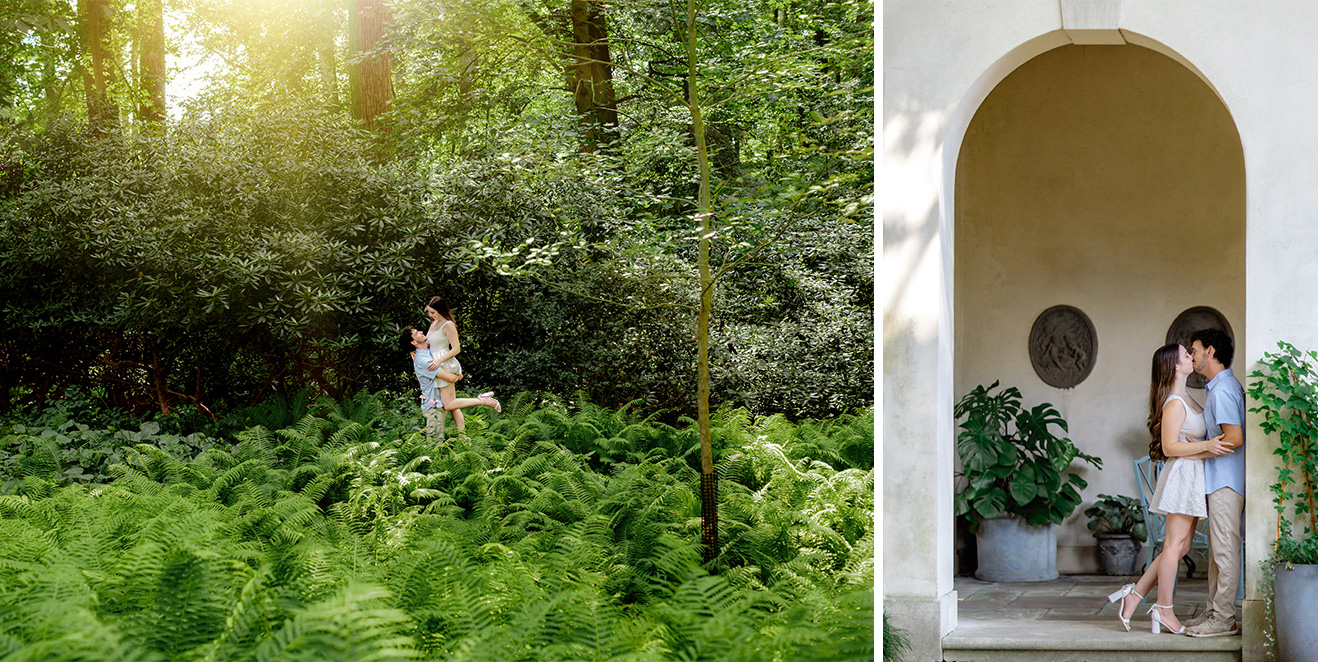 a forest of ferns and a stone arch at winterthur gardens
