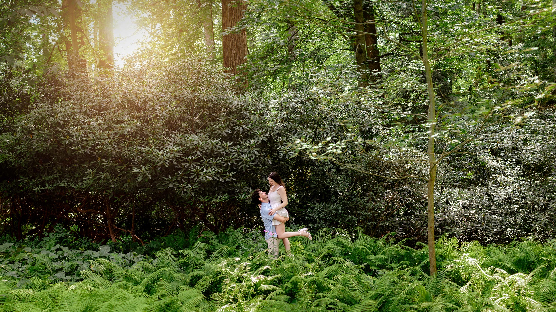Engaged couple in a forest of ferns at Winterthur